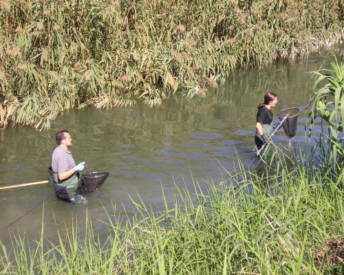 Toma de muestras en Orihuela (río Segura)
