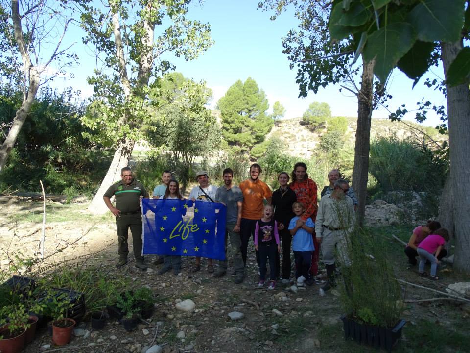 Ver la imagen en tamaño real. Los voluntarios del LIFE + SEGURA RIVERLINK continúan con la  restauración  del río Moratalla