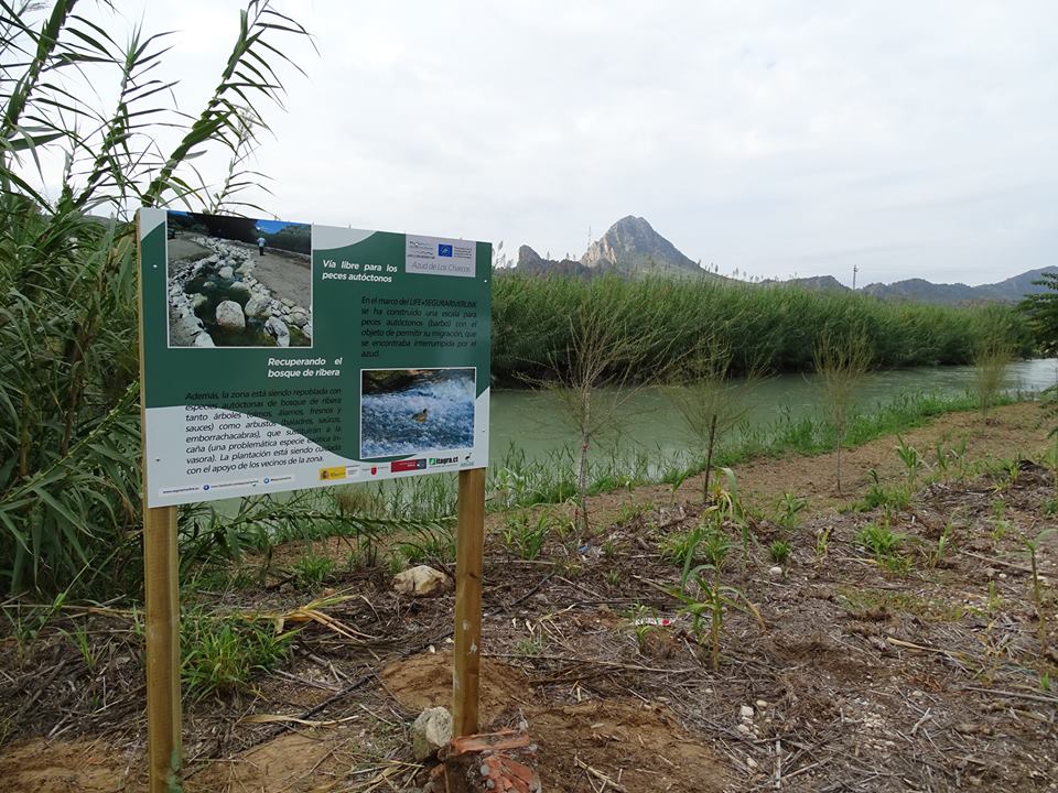 Ver la imagen en tamaño real. El LIFE+SEGURARIVERLINK estrena carteles