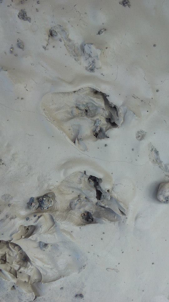 Ver la imagen en tamaño real. Una visitante inesperada en la escala de El Jarral