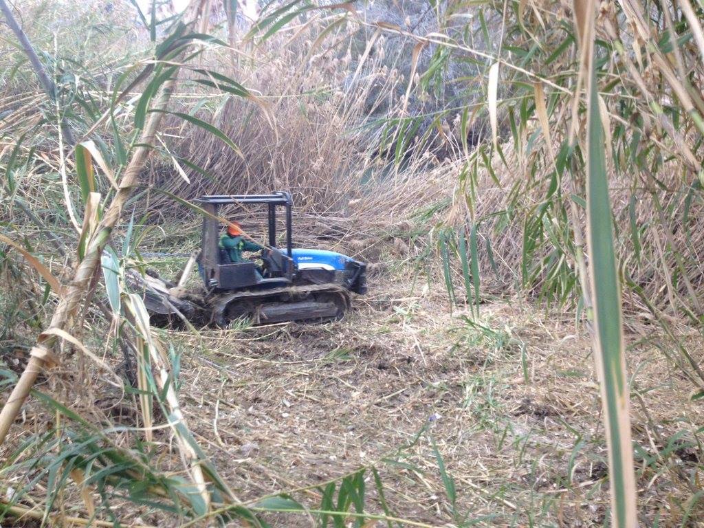 Ver la imagen en tamaño real. Empiezan las restauraciones del bosque de ribera en el ámbito del LIFE+SEGURARIVERLINK