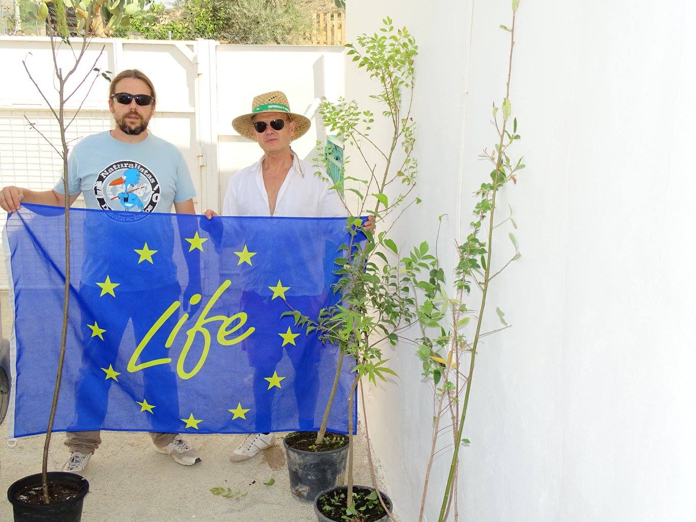 Ver la imagen en tamaño real. Cesiones de planta a los propietarios colaboradores del proyecto