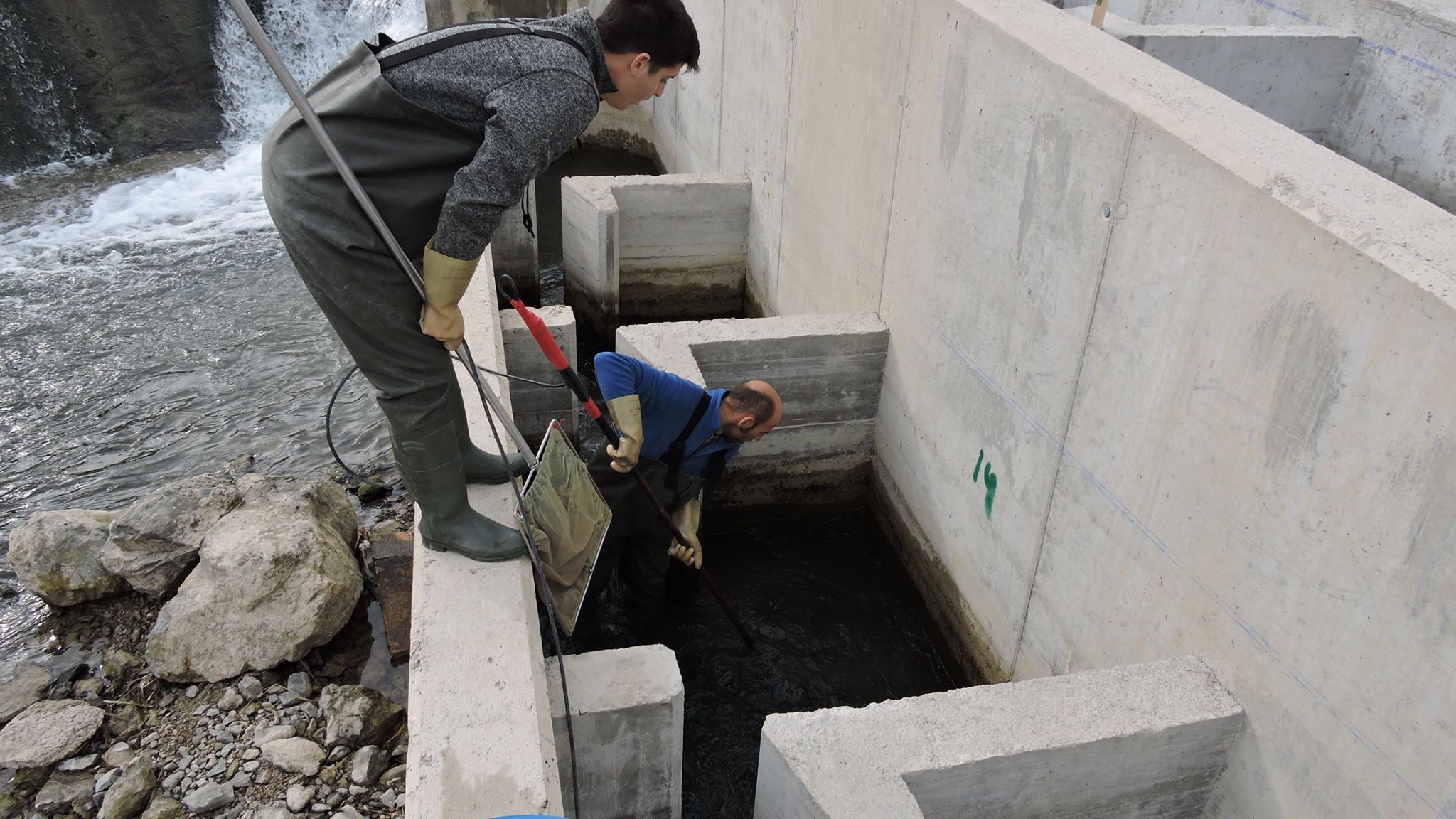 Ver la imagen en tamaño real. Campaña de pesca en los pasos de peces construidos por el proyecto LIFE+SEGURARIVERLINK