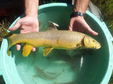 Ver la imagen en tamaño real. Vivencias en el LIFE+SEGURARIVERLINK