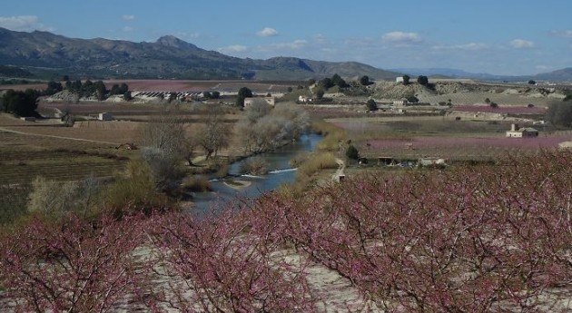 Ver la imagen en tamaño real. Publicado artículo de opinión del Director del proyecto en el portal iagua