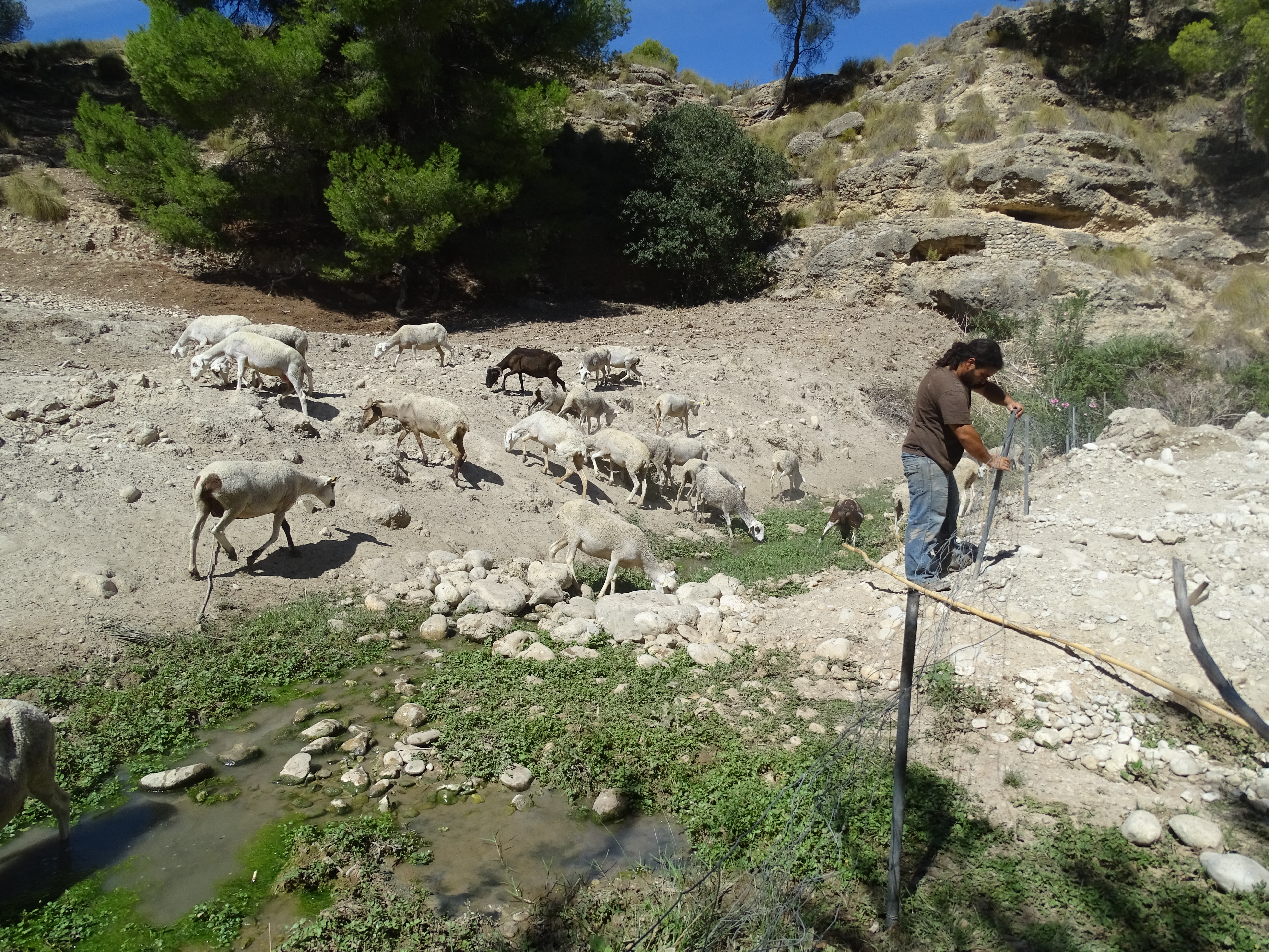 Ver la imagen en tamaño real. Mantenimiento de la restauración del río Moratalla