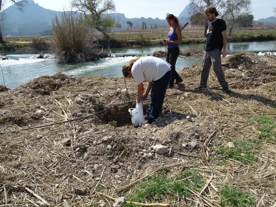 Ver la imagen en tamaño real. Los propietarios colindantes al río colaboran en su recuperación facilitando el riego de las plantaciones