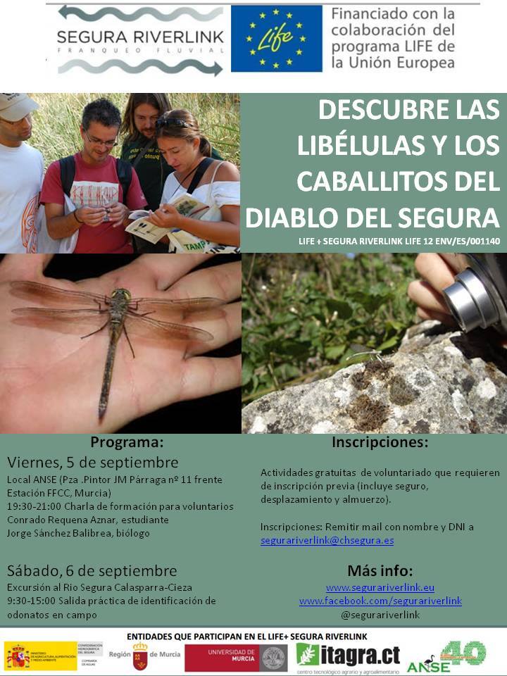 Ver la imagen en tamaño real. Descubre las libélulas y caballitos del diablo del Segura
