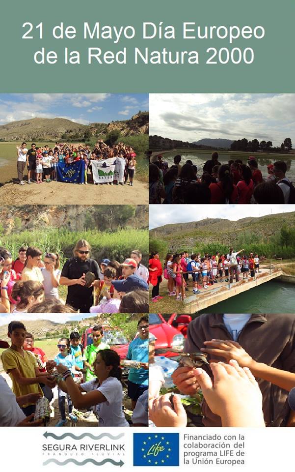 Ver la imagen en tamaño real. Celebramos el día de la Red Natura 2000 con los escolares de Calasparra