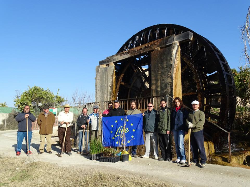 Ver la imagen en tamaño real. Propietarios de terrenos y voluntarios recuperan el bosque de ribera del Segura en Cieza