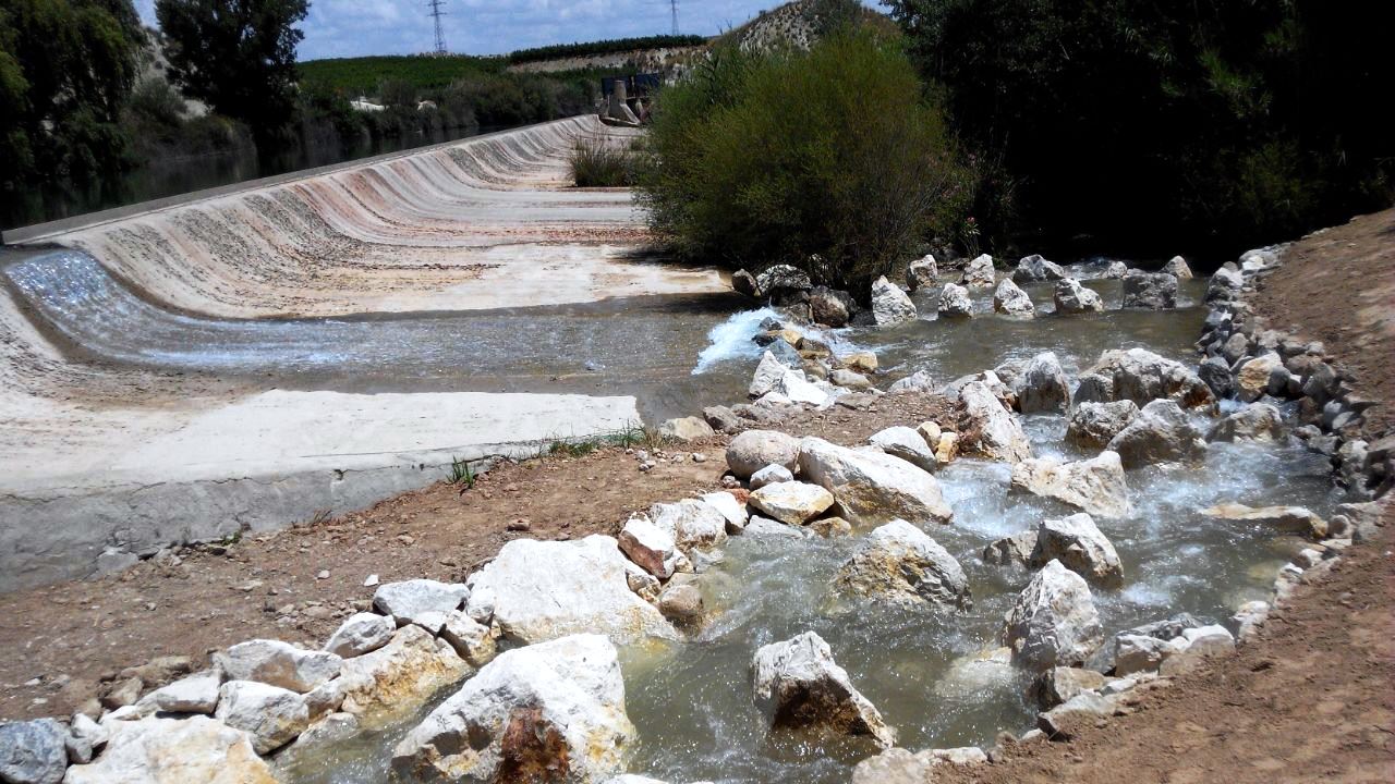 Ver la imagen en tamaño real. La Universidad de Valladolid, uno de los socios de LIFE+SEGURARIVERLINK, recibe un prestigioso premio internacional en materia de escalas para peces