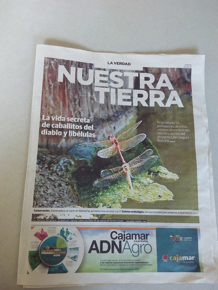 Ver la imagen en tamaño real. Los odonatos del LIFE+SEGURARIVERLINK en el suplemento de La Verdad