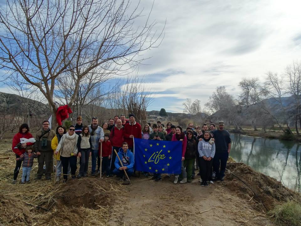 Ver la imagen en tamaño real. Voluntarios y propietarios recuperan el bosque de ribera en Los Charcos, Cieza