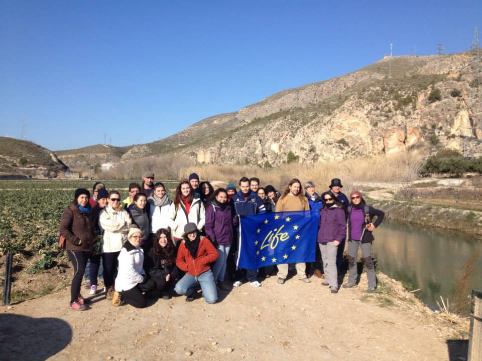 Ver la imagen en tamaño real. Voluntarios y arroceros recuperan el bosque de ribera en Calasparra