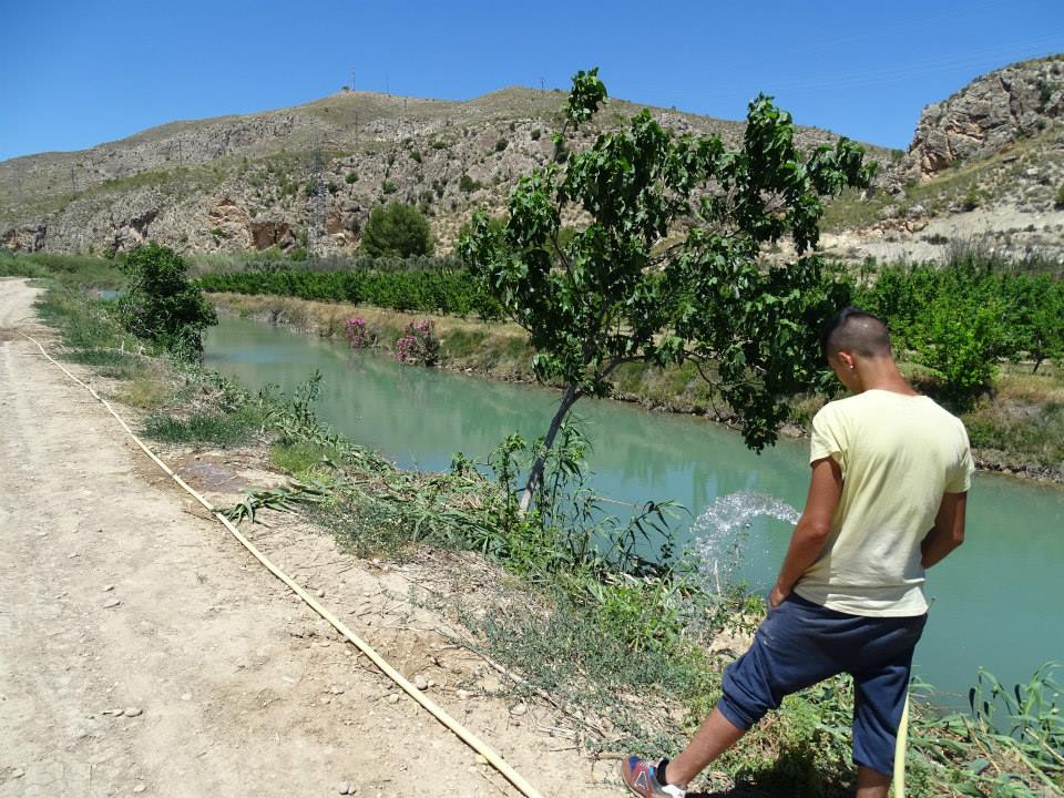 Ver la imagen en tamaño real. ANSE realiza junto con los propietarios el manteminieto de las plantaciones de Post-trasvase en Calasparra