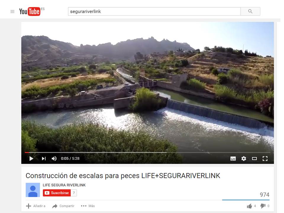 Ver la imagen en tamaño real. Estrenamos el vídeo de la construcción de escalas del LIFE+SEGURARIVERLINK en el blog Los Pies en La Tierra