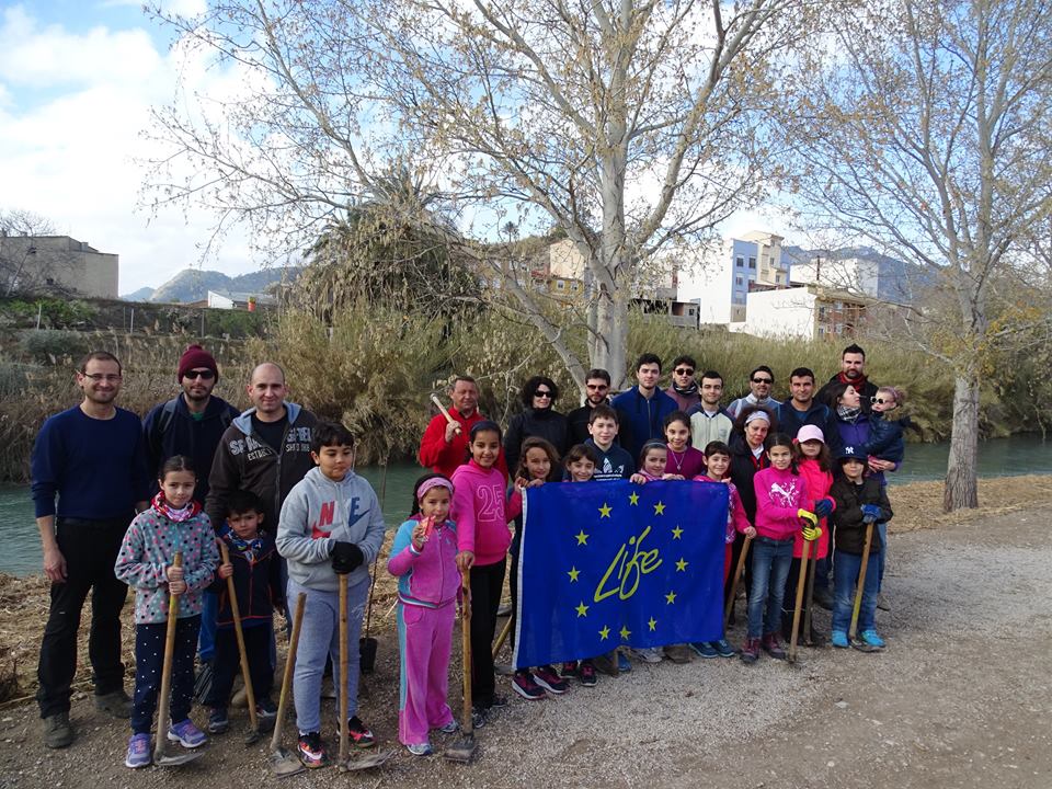Ver la imagen en tamaño real. Carrahila y ANSE plantan un bosque de ribera del LIFE SEGURARIVERLINK en Abarán