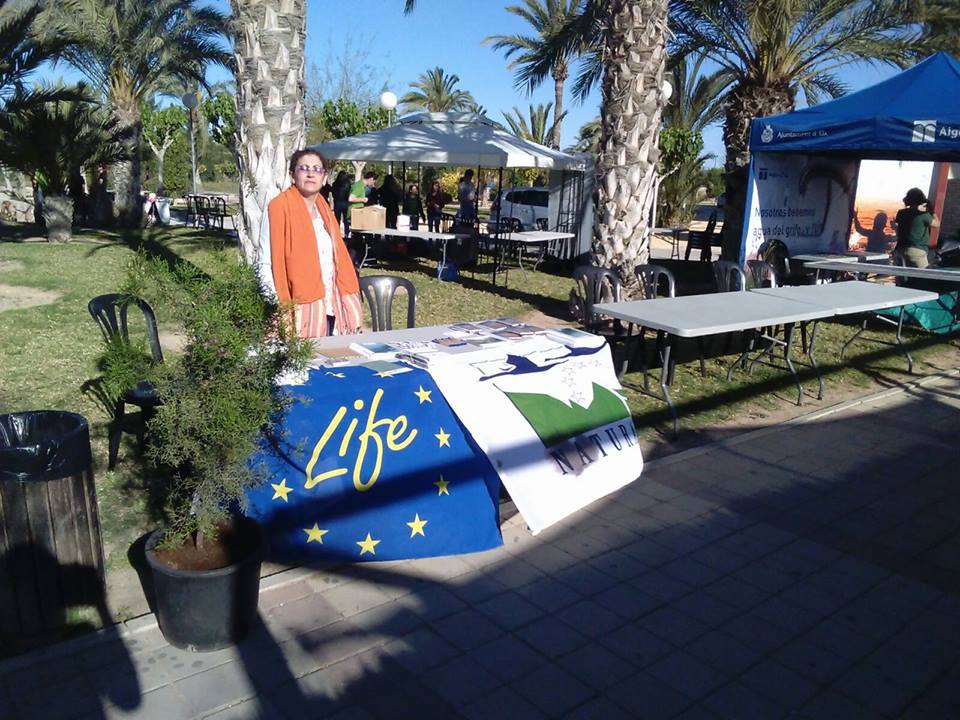 Ver la imagen en tamaño real. SEGURARIVERLINK participa junto con otros proyectos LIFE en la feria de la sostenibilidad de la UMH