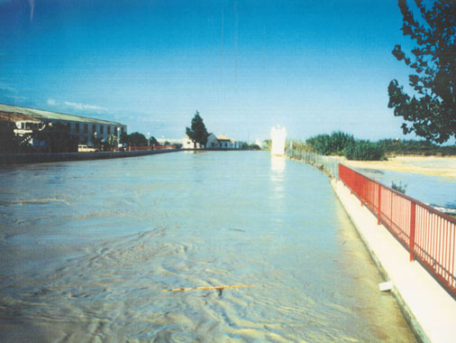 Segura river Estación Aforos