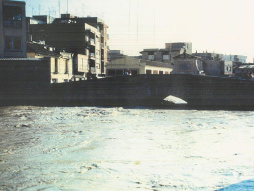Segura river Rojales