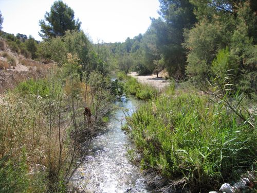 River Luchena. Lorca (Murcia).