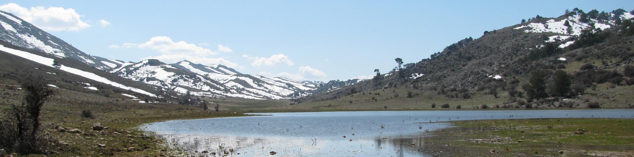 Laguna. Cañada de la Cruz, Murcia (Autor: Mariano Pelegrín Garrido)