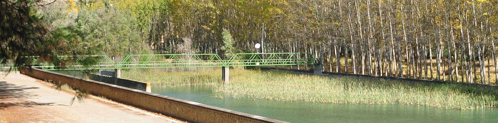 Aguas abajo de la Presa del Cenajo. Calasparra, Murcia (Autor: Francisco Roselló)