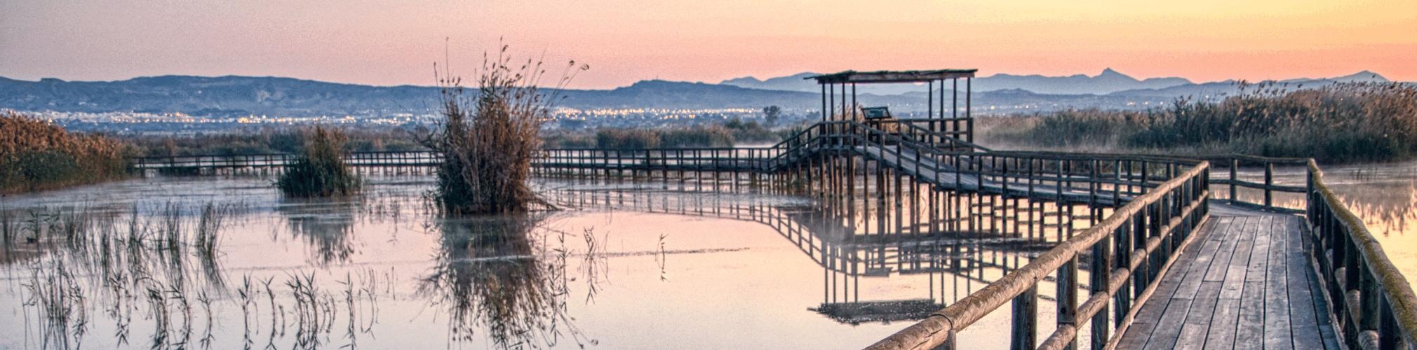 Amanecer en la Laguna del Hondo. Elche (Autor: José Antonio Vera)