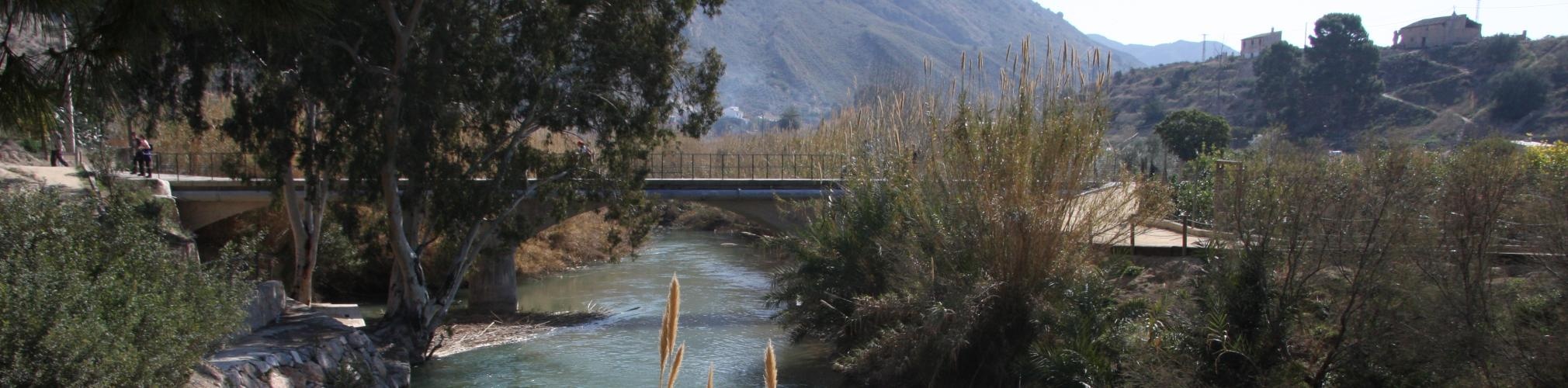 Puente sobre el Río Segura. Abarán, Murcia (Autor: José Antonio Vera)