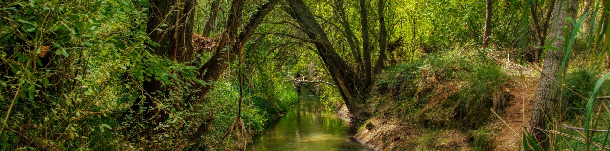 Río de la Vega. Riopar, Albacete (Autor: José Antonio Vera)