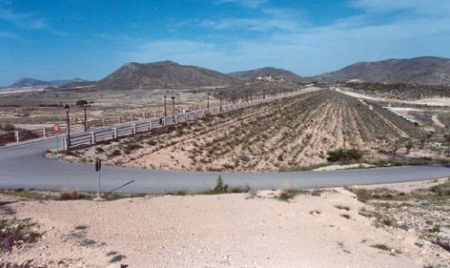 Espaldón aguas abajo, con sus plantaciones y sistema para su regadío