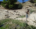 /descargas/cuenca/segurariverlink/noticias/img/DSC00670.JPG