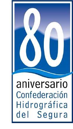 Icono representativo del 80 aniversario de la CHS