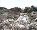 /descargas/informaciongeneral/comunicacion/noticias/img/01_IMG_8439.JPG?__scale=undefined&format=real&description=