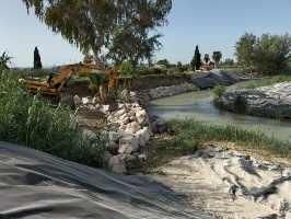 La CHS finaliza los trabajos de recuperación del bosque de ribera en el río Segura en 