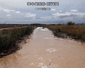 /descargas/informaciongeneral/comunicacion/noticias/img/IMG-20210921-WA0031.jpg?__scale=undefined&format=real&description=