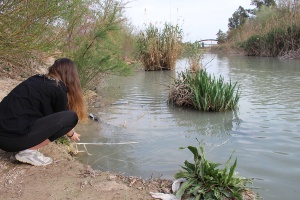 La CHS invierte más de 203.000 euros en el estudio de la población de peces y la eutr 