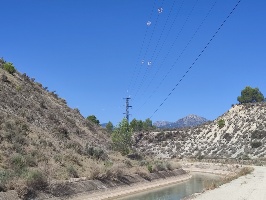 La CHS instalará medidas protectoras para las aves en las líneas eléctricas del postr 
