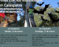 /descargas/informaciongeneral/comunicacion/noticias/img/Noticia-20-03-2019.png_934528771.png?__scale=undefined&format=real&description=