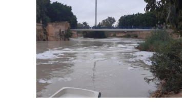 El CEBAS-CSIC concluye que las espumas del río Segura tienen un origen predominanteme 