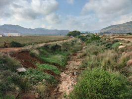 La CHS adjudica el proyecto de restauración hidrológico forestal del barranco de Ponc 