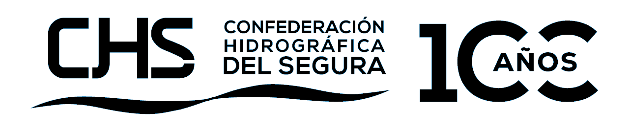 logo luto centenario