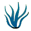 icono SEGUIMIENTO DE LOS EMBALSES PARA EL CONTROL DE BLOOMS